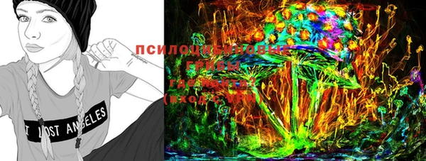 винт Аркадак
