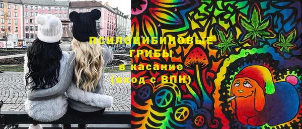 прущая мука Армянск