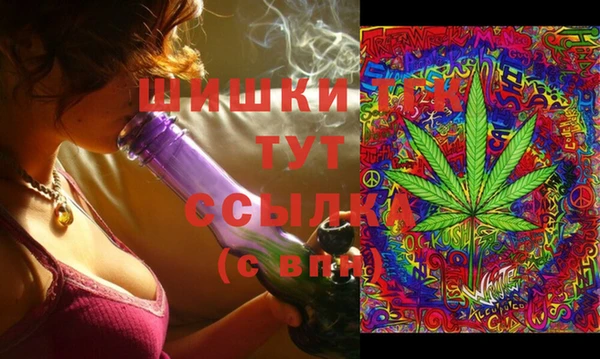 винт Аркадак