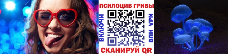 kraken онион  Чудово  Галлюциногенные грибы GOLDEN TEACHER 