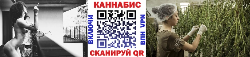 Каннабис ГИДРОПОН Чудово